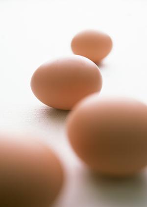 池袋西口の海鮮居酒屋「磯丸水産」：新鮮な海の幸を楽しむ絶品磯丸焼きと多彩なメニュー